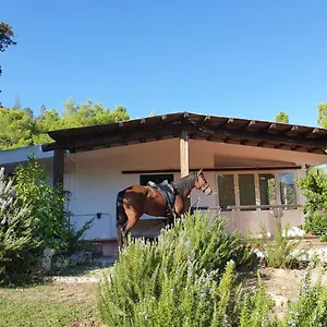 https://villa-badde-rosa.in-sardinia.net